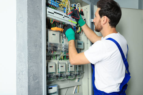 Best Electric Panel Repair  in Highland City, FL